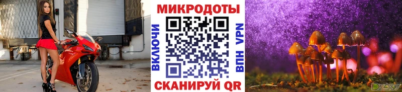 Галлюциногенные грибы Psilocybine cubensis  Купить закладки  Каргат 